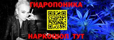 прущие крисы Урус-Мартан