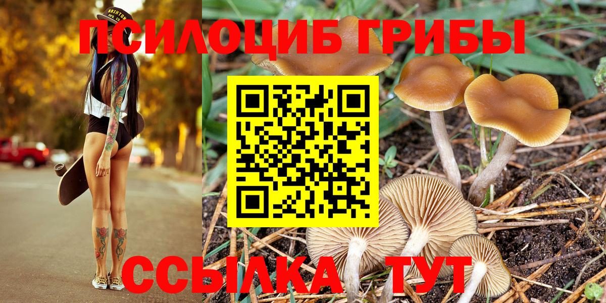 Псилоцибиновые грибы Magic Shrooms  Вход с VPN  Алатырь  Галлюциногенные грибы прущие грибы 